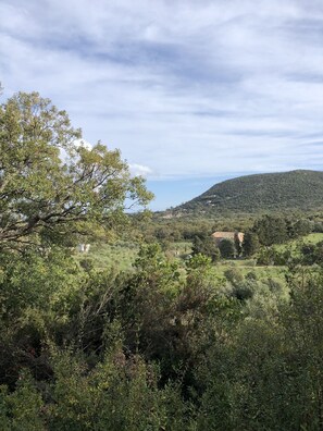 Boendeområde