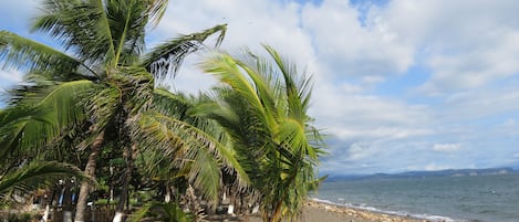 Beachfront view - 1 min walking distance from the casita