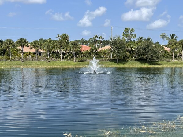 Beautiful lake and fountain view!