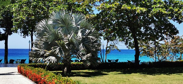 Jardines del alojamiento