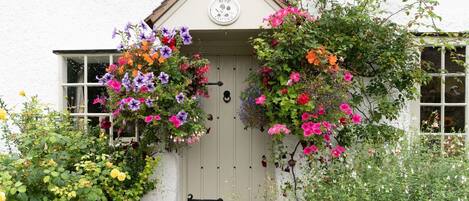 Hanging Baskets, Rose Cottage, Bolthole Retreats