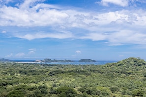 Ocean views and lush surroundings: Savor every site seen at our oasis engulfed in tropical beauty.