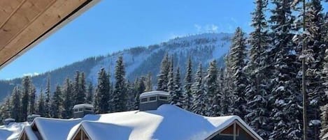 View from deck with hot tub 