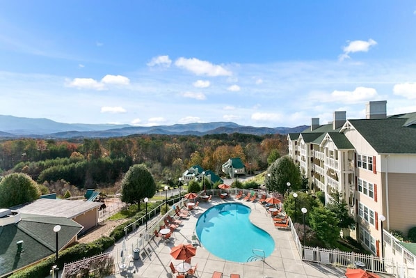 Large swimming pool, bring the kids and jump right in!