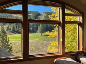 Fall Master BR view