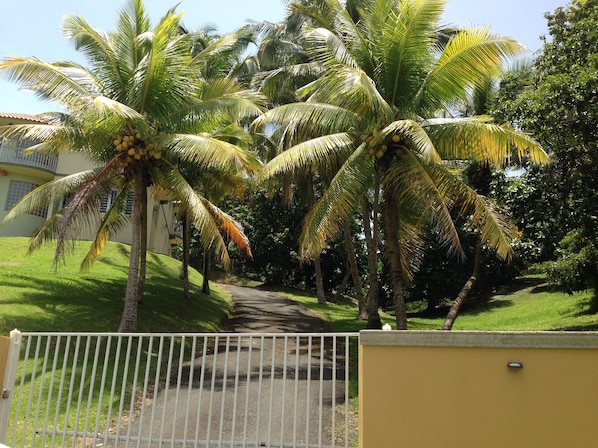 Property grounds