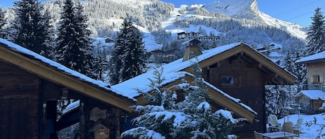 Vue d'ensemble du Chalet