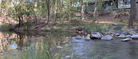 Looking at the house from across the creek in the backyard. Peace and quiet.