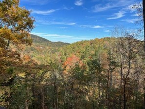 View from  the deck