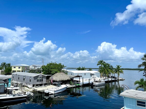 View from the front door of the House!