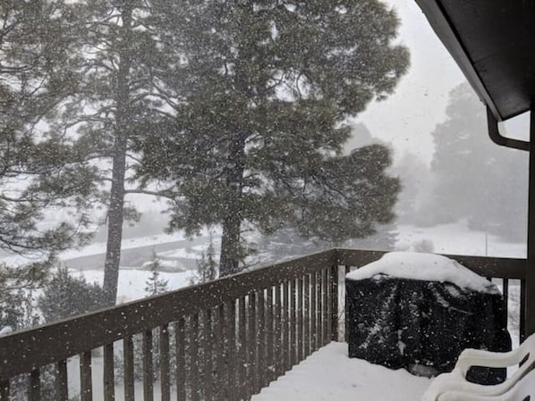 Beautiful winters in Flagstaff!