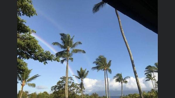 Rainbow view from our patio