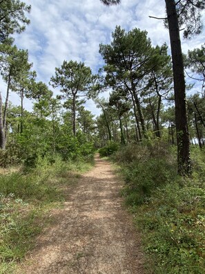 Boendeområde
