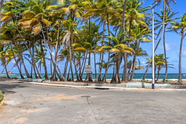 Strand