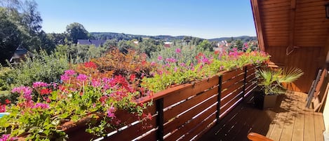 Blick von der Terrasse 