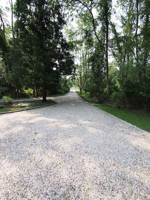 We are located in a secluded spot surrounded by lush greenery
