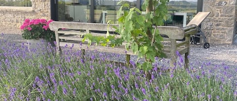 Jardines del alojamiento