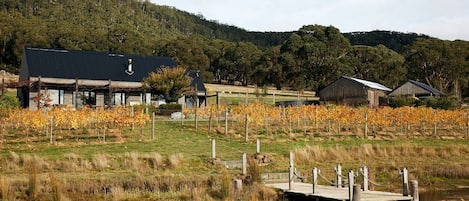 Glut Farmhouse with a grenache vineyard and quaint dam for picnics and fishing