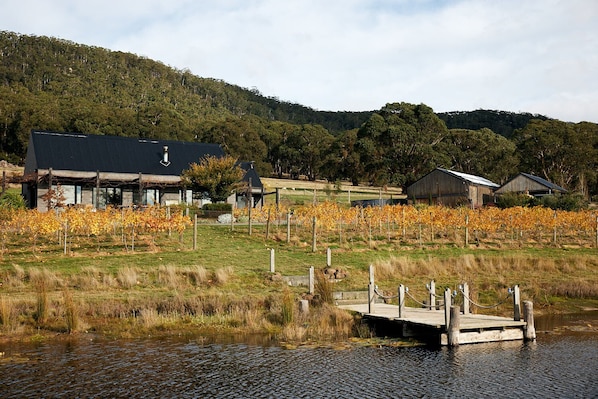 Glut Farmhouse with a grenache vineyard and quaint dam for picnics and fishing