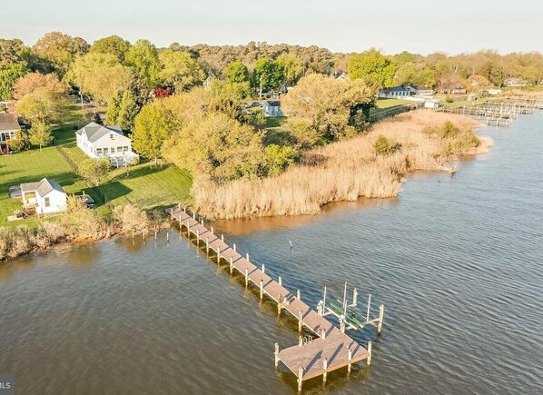 backyard and pier