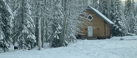 Street view in the winter