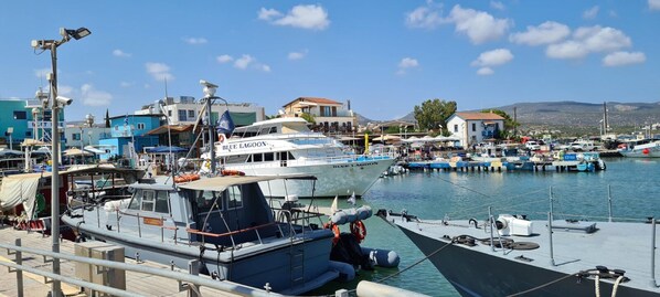 Marina