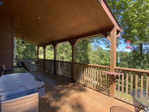 So many birds to enjoy while on the porch !