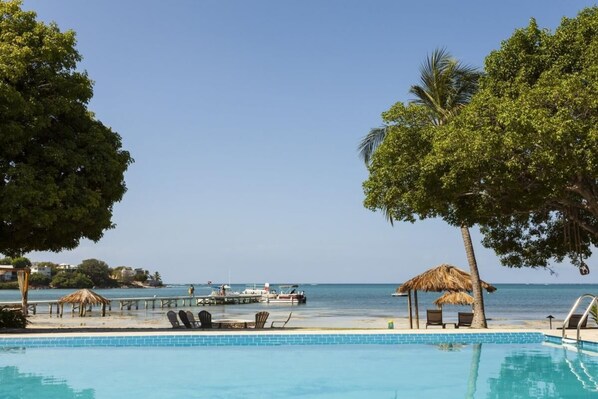 Beautiful and large swimming pool, family fun!