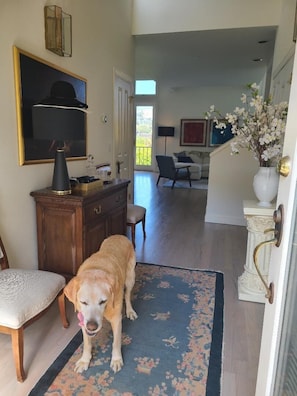 Entry way with powder room and laundry closet...dog not included