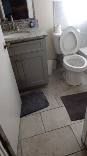 Master bathroom 