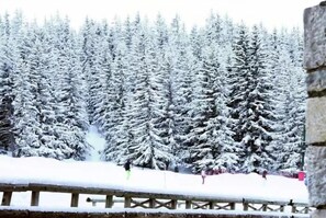 Skidåkning och snöaktiviteter