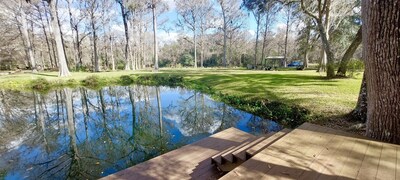 Dock & Backyard to our private cove on the Rainbow River