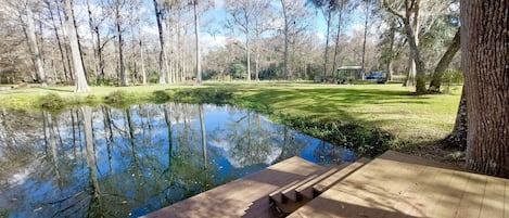 Dock & Backyard to our private cove on the Rainbow River