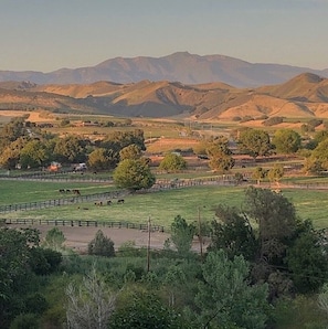 view from property