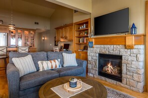 Living room + pullout couch