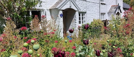 Traditional fisherman's cottage a short walk from the beach and coast path