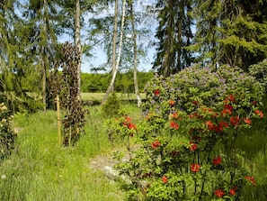Flower, Plant, Tree, Natural Landscape, Sky, Land Lot, Terrestrial Plant, Grass, Woody Plant, Groundcover