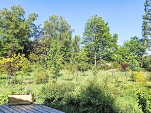 Green, Tree, Natural Environment, Leaf, Vegetation, Shrub, Plant Community, Land Lot, Groundcover