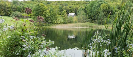 Overnatningsstedets område