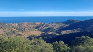 paysage environnant