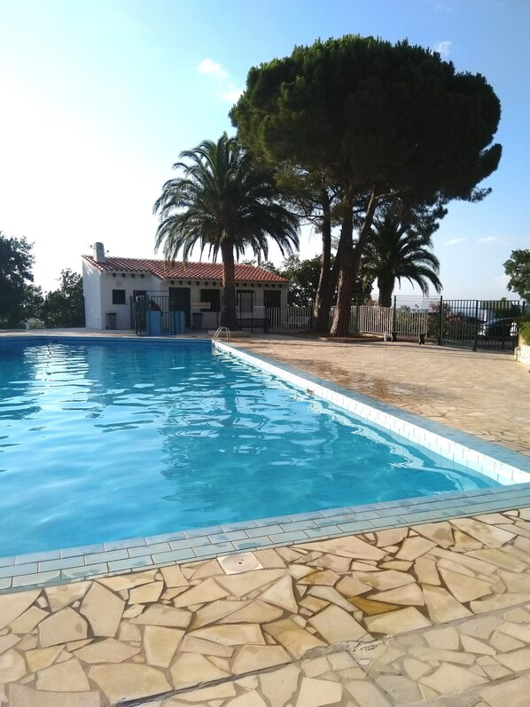 piscine collective