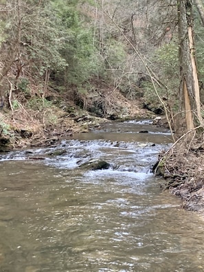 Creek below the back patio…running water 365 days per year, very relaxing sound!