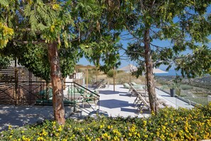 The garden area has been gifted with trees & plants