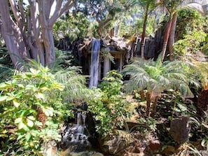 North Coast Village Tropical Grounds Waterfalls and Ponds  