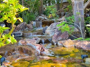 North Coast Village Tropical Grounds Waterfalls and Ponds  