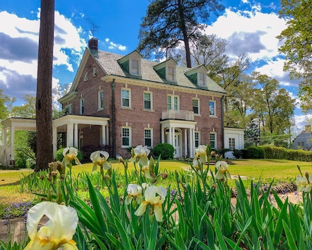 Evergreen in the Spring