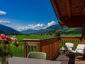 Terrasse / Balkon