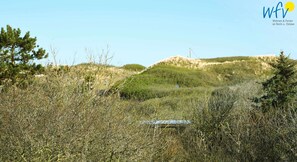 Blick vom Balkon in die Dünen