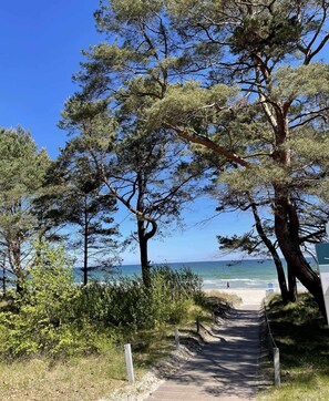 Landschaft