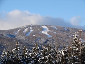 This custom built single family home sits on a hillside facing the ski slope, with spectacular views of the trails.